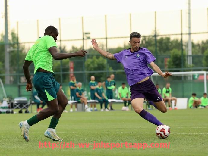 金年会app-本赛季意甲保持不败战绩的六支球队分析