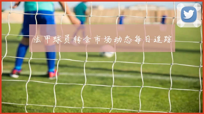 法甲球员转会市场动态每日追踪