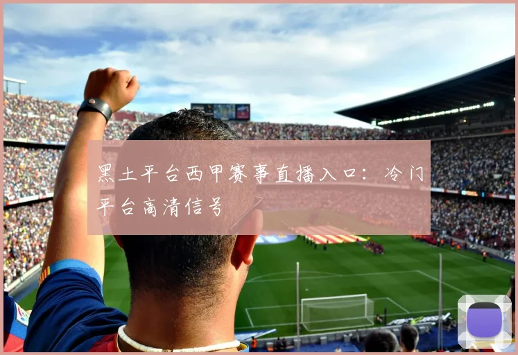 黑土平台西甲赛事直播入口：冷门平台高清信号